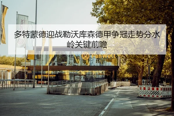 多特蒙德迎战勒沃库森德甲争冠走势分水岭关键前瞻 - kaiyun
